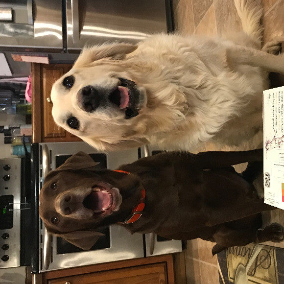 Tyson and Tucker are huge fans!