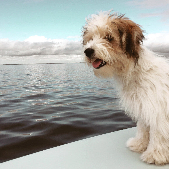 I didn't choose the boat life. Boat life chose me.