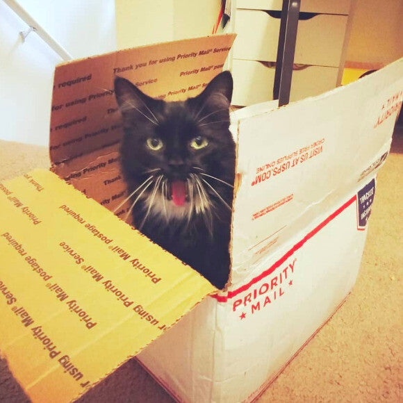 Priority Mail indeed