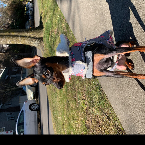 my healthy baby girl