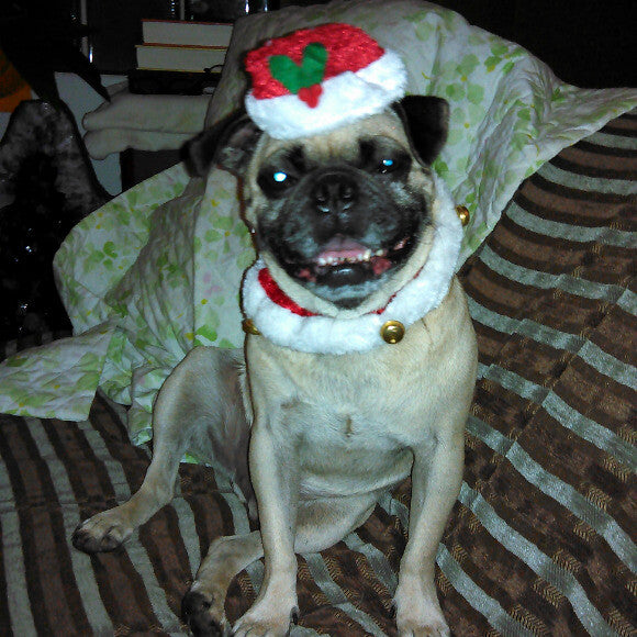 Santa I've been sort of a good boy. Get those elves working and Please bring me my Honest Kitcken!