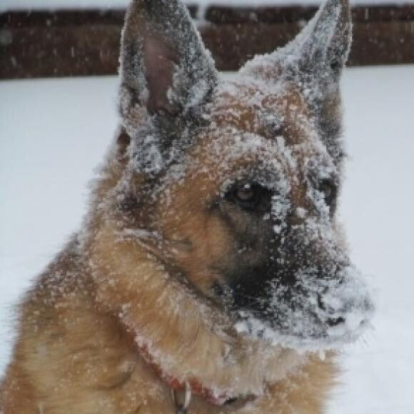 Loving the snow