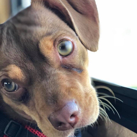 Missy Mae