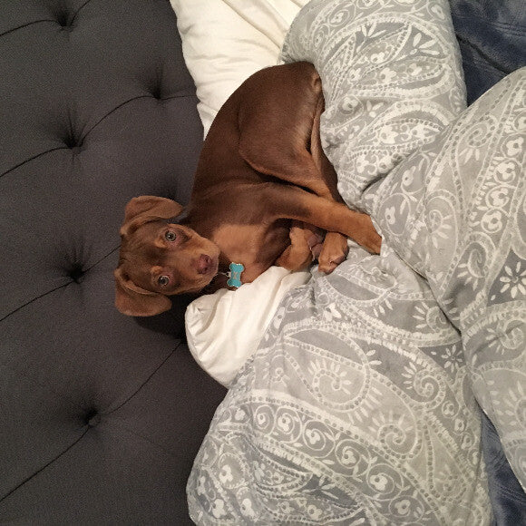 Missy Mae