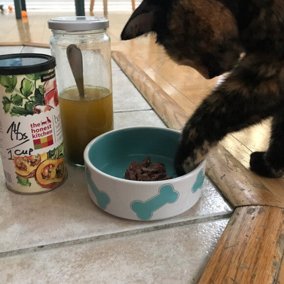 My cat decided to try it too......