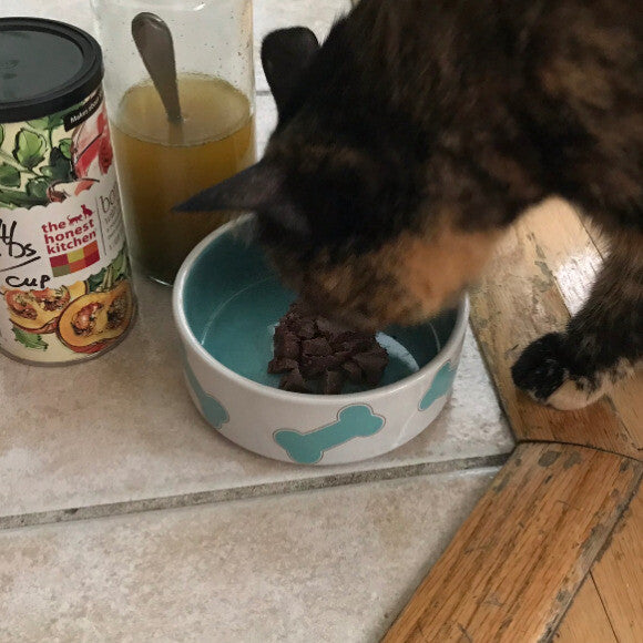 Seems that there will be one more customer of Honest Kitchen Broth!!
