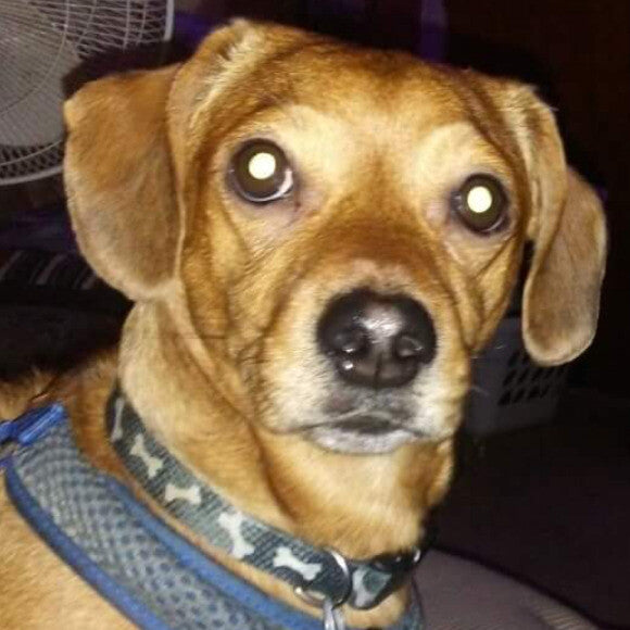 Charlie