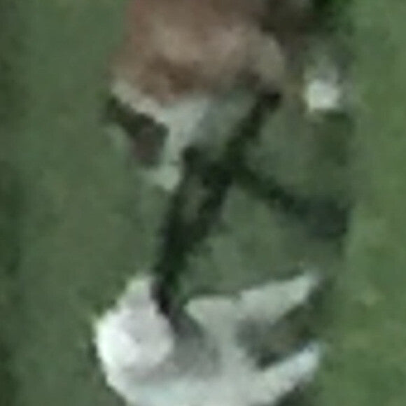 Playing with neighbors dog