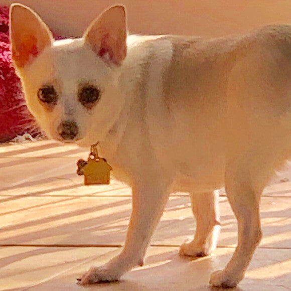 This is Lilly Ann, one of my �sisters.�