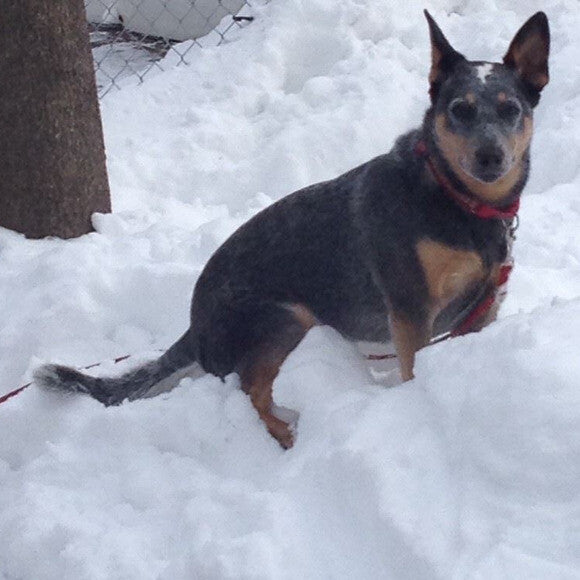 The only one in the family who loves the winter