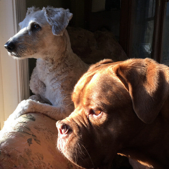 Sunrise kids