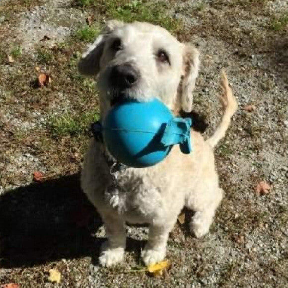 Love my Ball