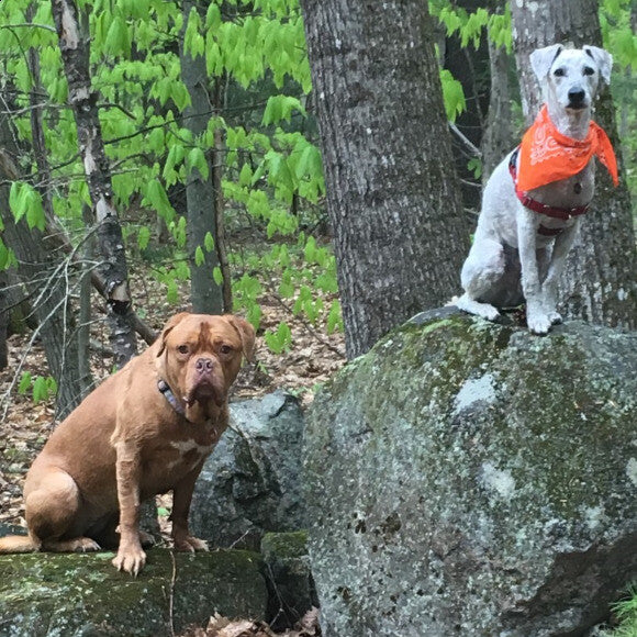 NH Hikers