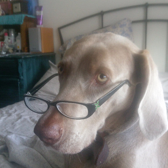 Do I look studious?