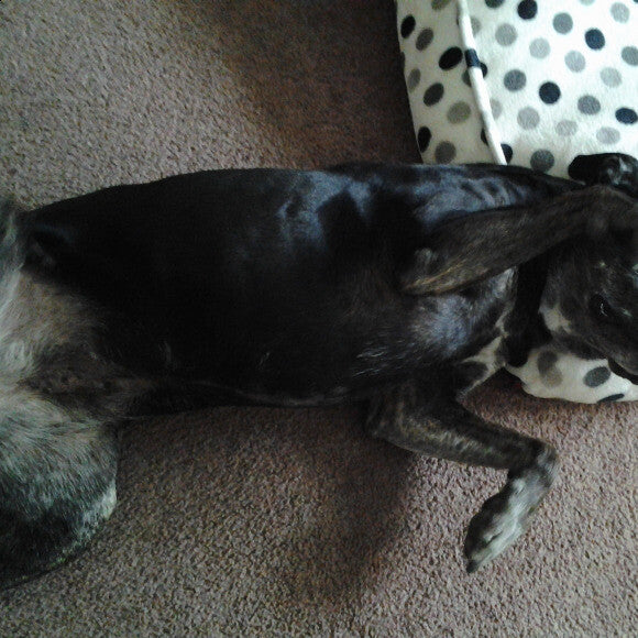 She wanted to show her fried chicken pose. (Now) Also, the other two pictures were added for comparison.(Before)