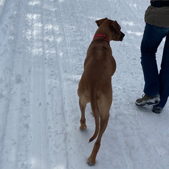 She loves her hikes.