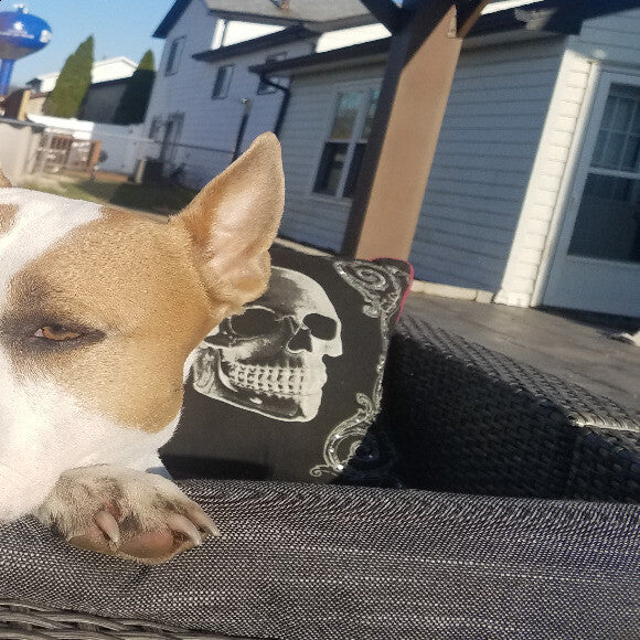 Working from home