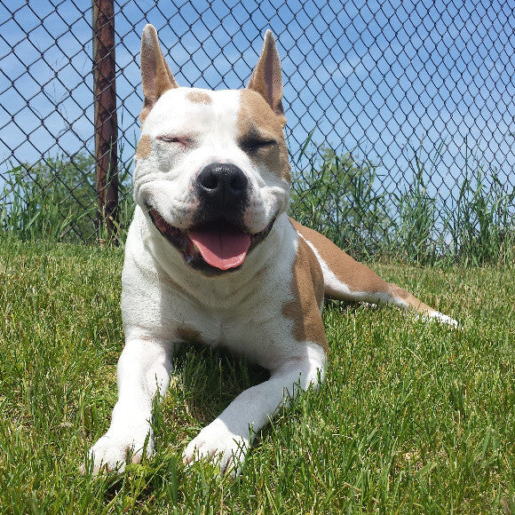 Odin smiling