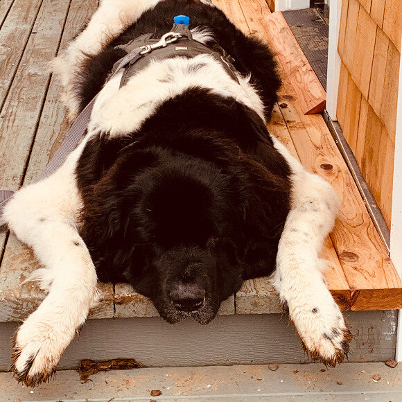 Relaxing on a neighbors porch