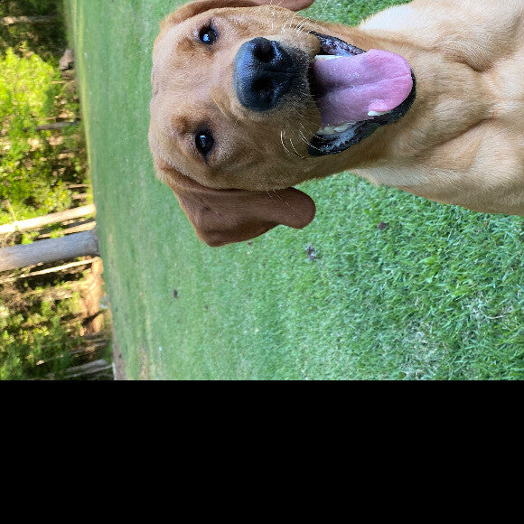 KJ