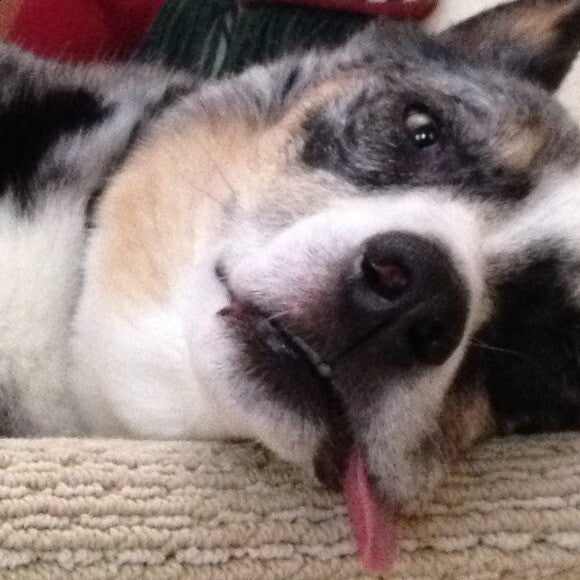 Long day...