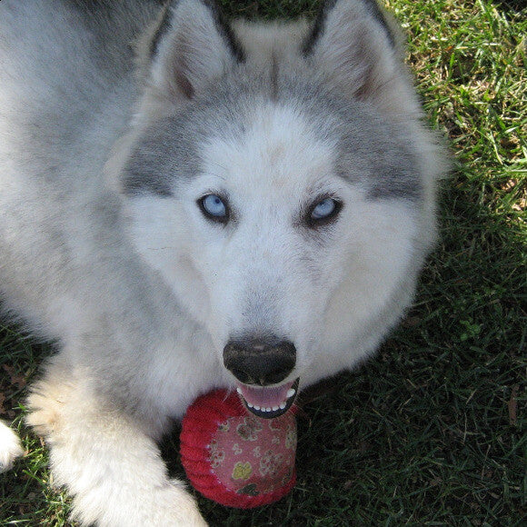 his first ball after rehabbing and becoming one of the family