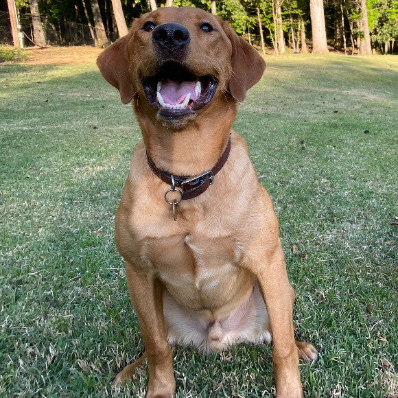 Cash
