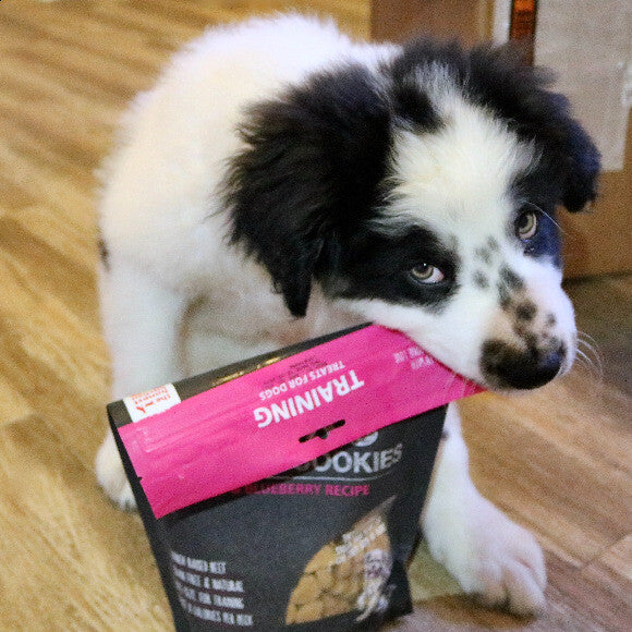 I got these training treats for my 3 month old Australian shepherd mix and he loves them! It's made teaching new tricks so much easier!