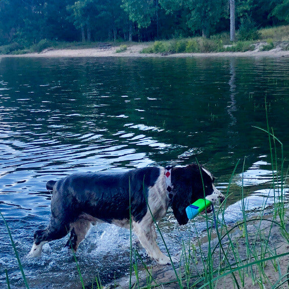 Brodie lives to swim even in his senior years