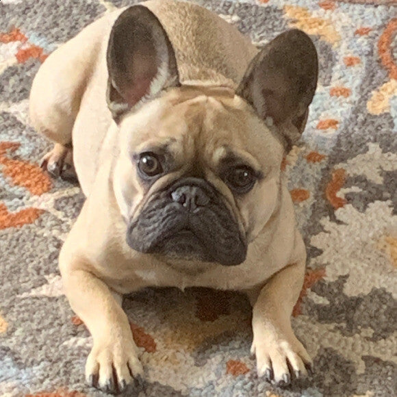 Did you say dinner time!
