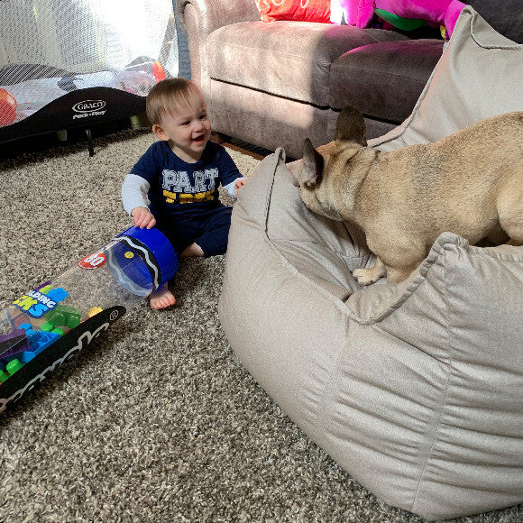 Honest kitchen gives me the energy I need to keep up with my human cousin!