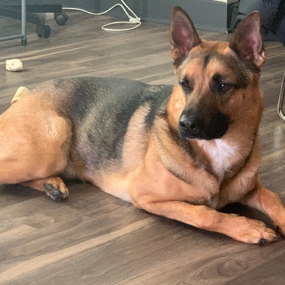 recent picture of Odin