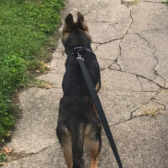 first week with Odin