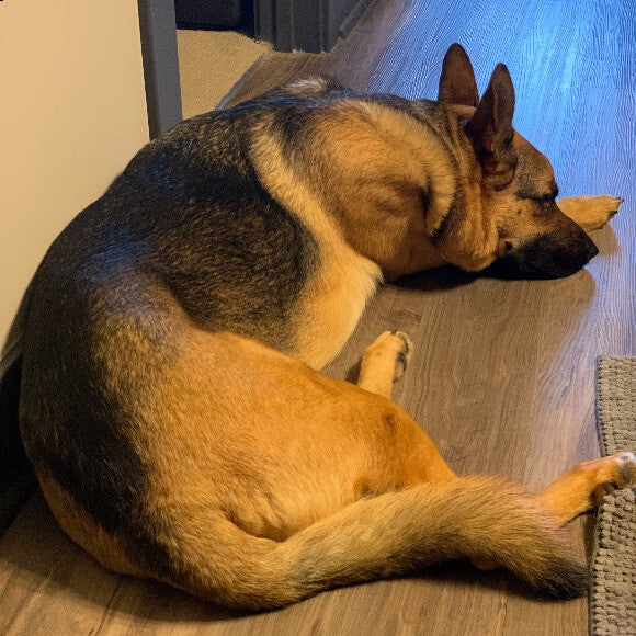 recent picture of him napping