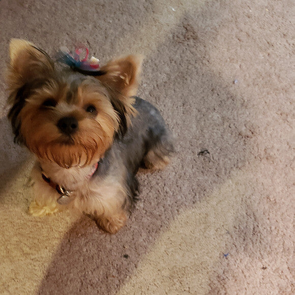 Waiting for her whole food clusters!