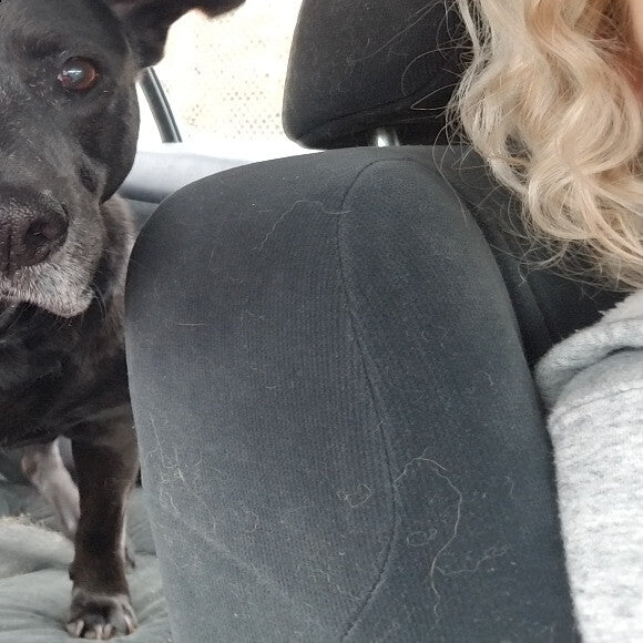After meal car rides to the park!