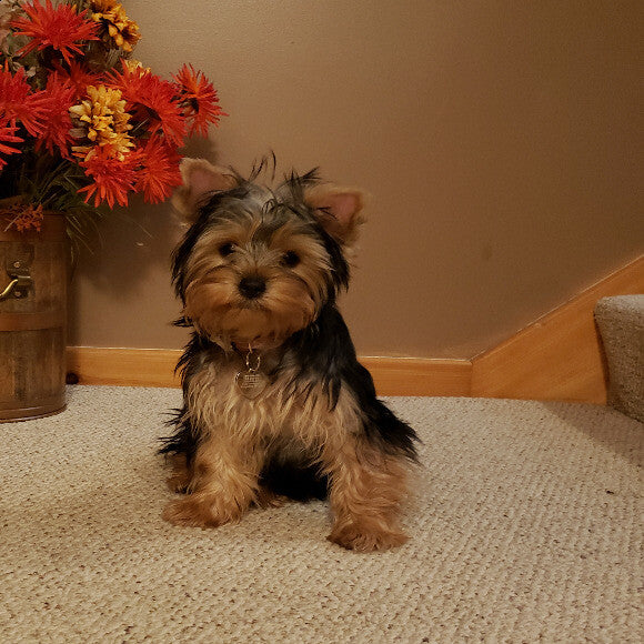 Beautiful baby!