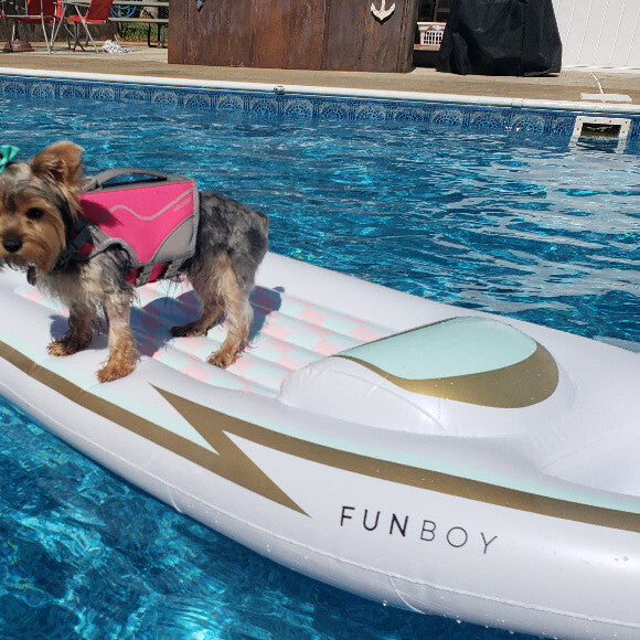 Swimming with the family