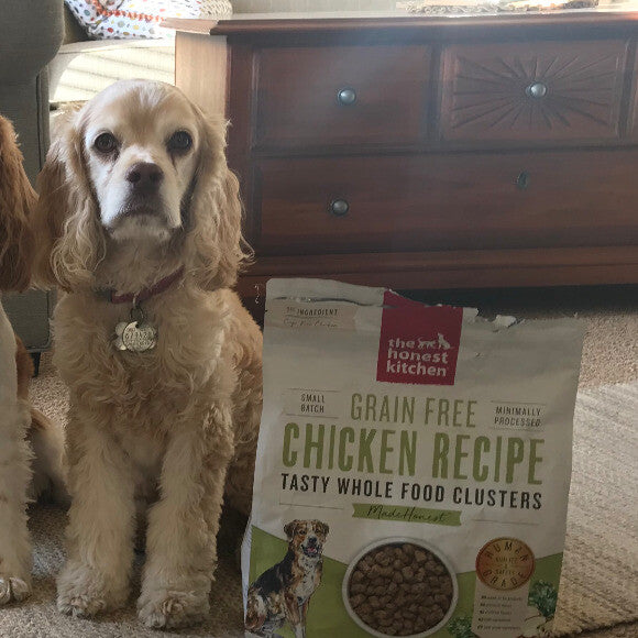 Carley suffered with a terrible bout of pancreatitis about 4 years ago. Unlike most cocker spaniels, Carley was a very picky eater. If food was not in her tummy by noon she suffered with terrible dry heaves. We tried very hard each morning to entice her t