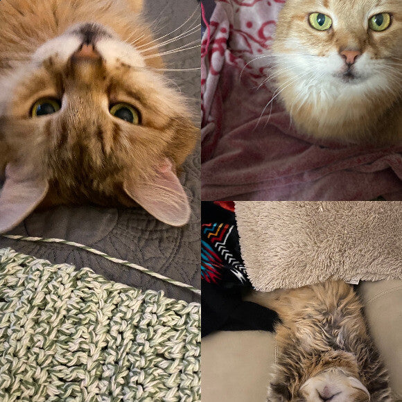 Meeka has quite the personality...and a picky attitude!