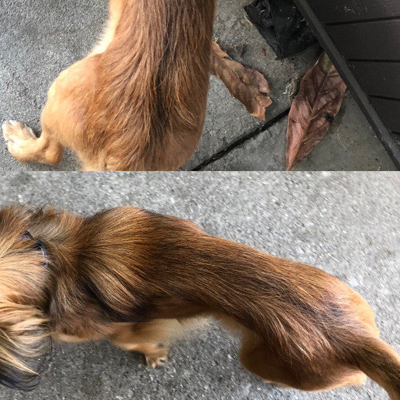 9lb