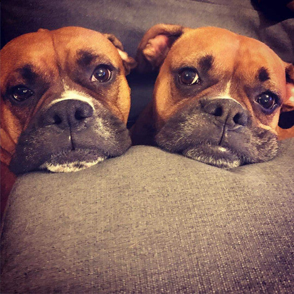 Derrik & Berlin