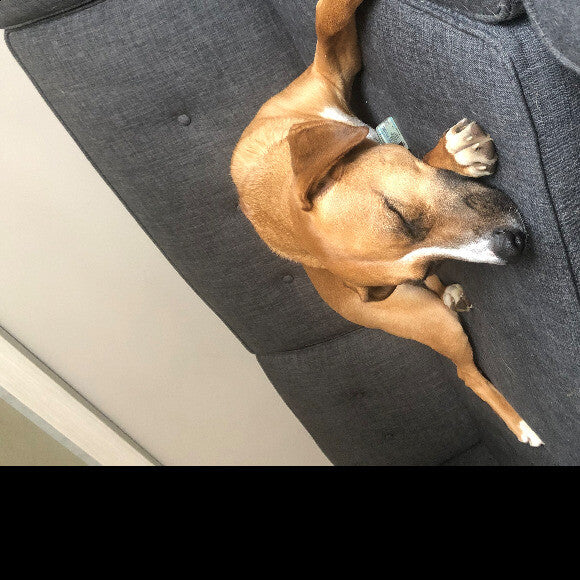 After breakfast nap