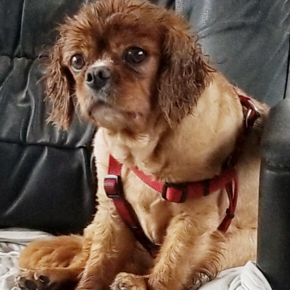Mommy made me take a bath