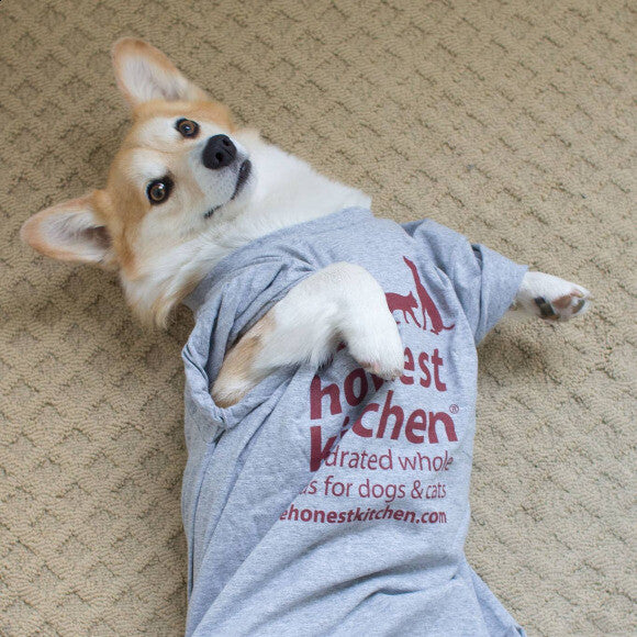 Trinket loves The Honest Kitchen!