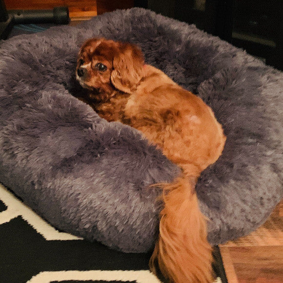 Wow this is comfy