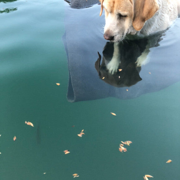 She will fish off her float for hours