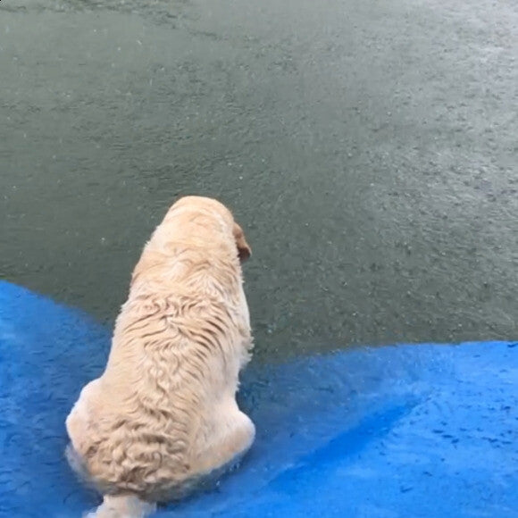 Rain doesn�t stop her from fishing
