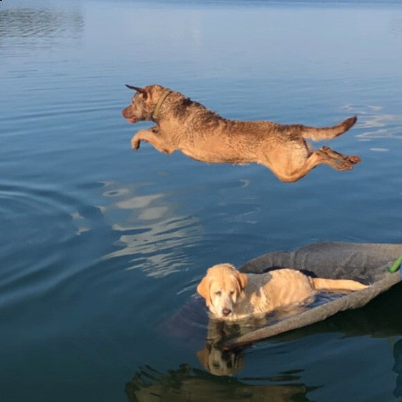 Her sister can�t even distract her when she�s fishing