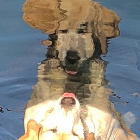Reflecting on fishing